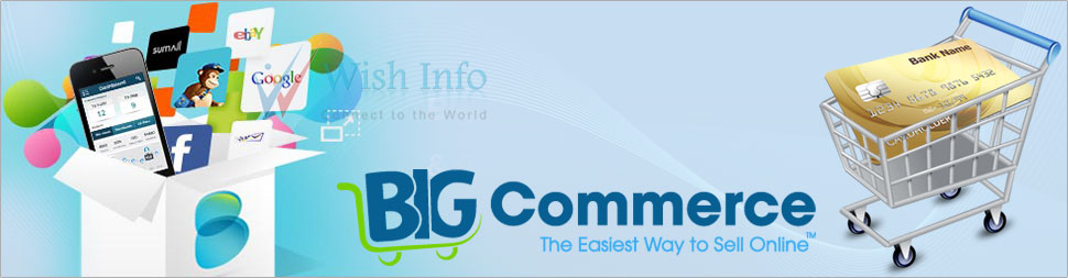 Custom BigCommerce Website Design