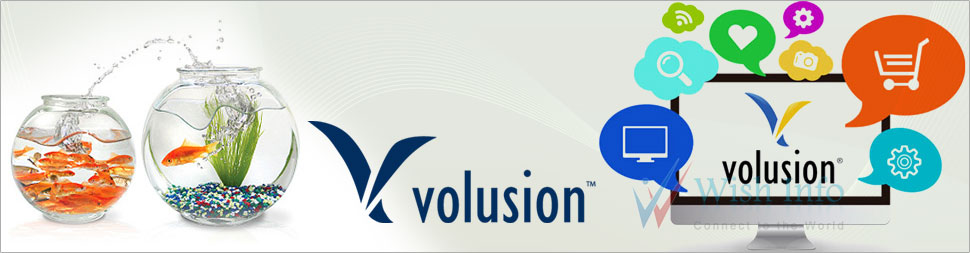Custom Volusion Website Design
